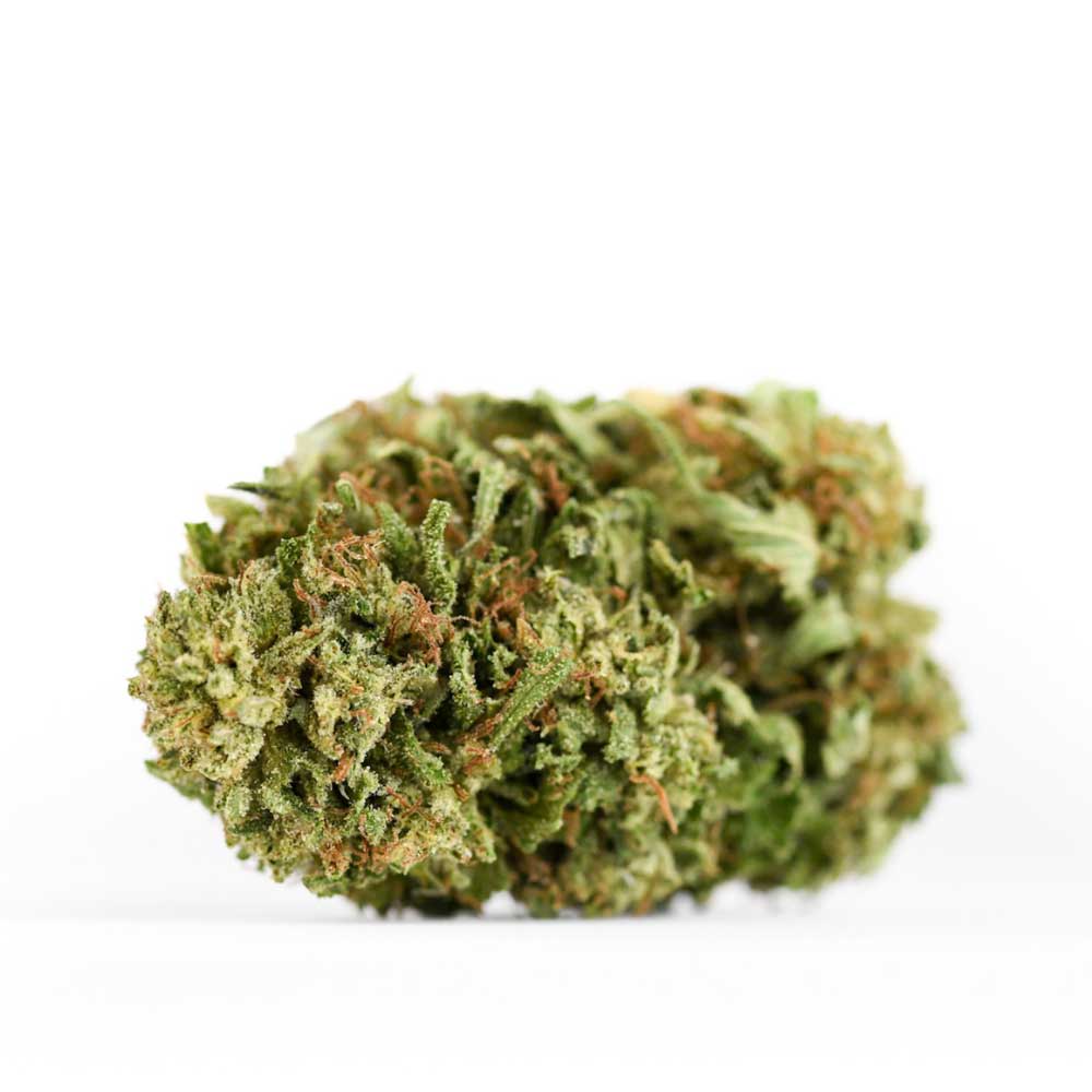 420 Playlist: JAXON's Curated Tunes for Elevated Vibes