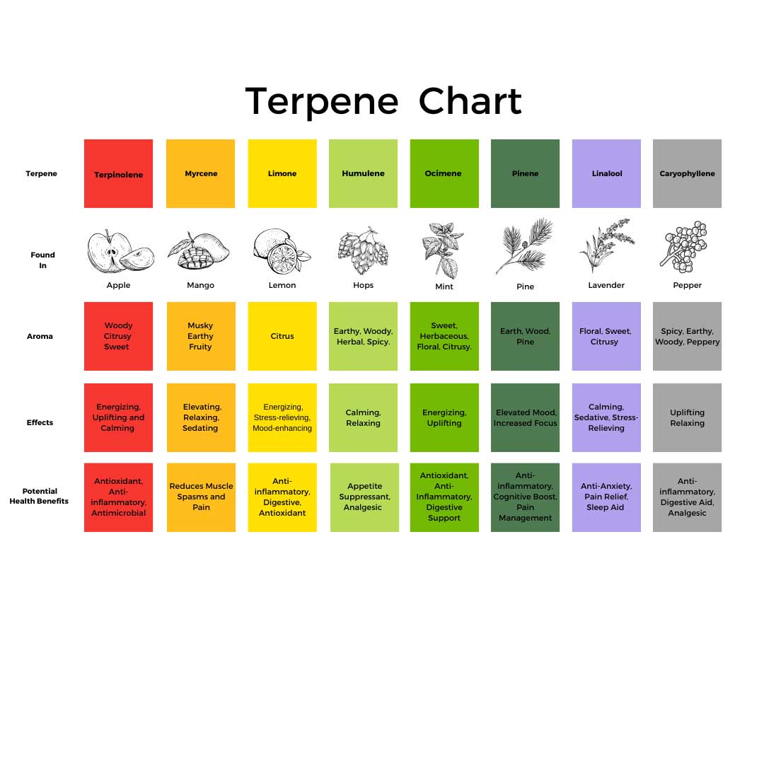 Terpene Chart: The Ultimate Guide