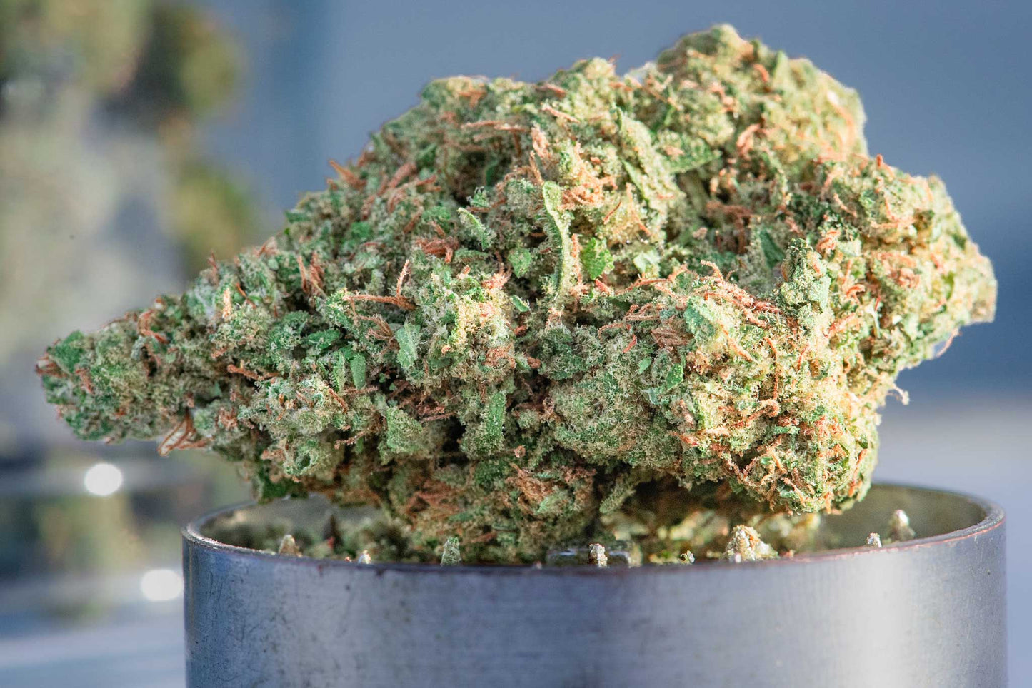 420 Guide: JAXON's Expert Hacks to Elevate Your Experience