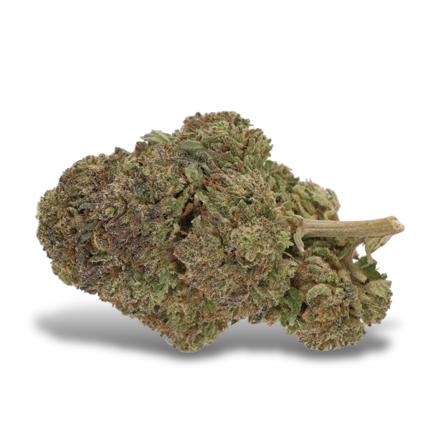 Bubba Kush 66 - CBD Flower - 2024