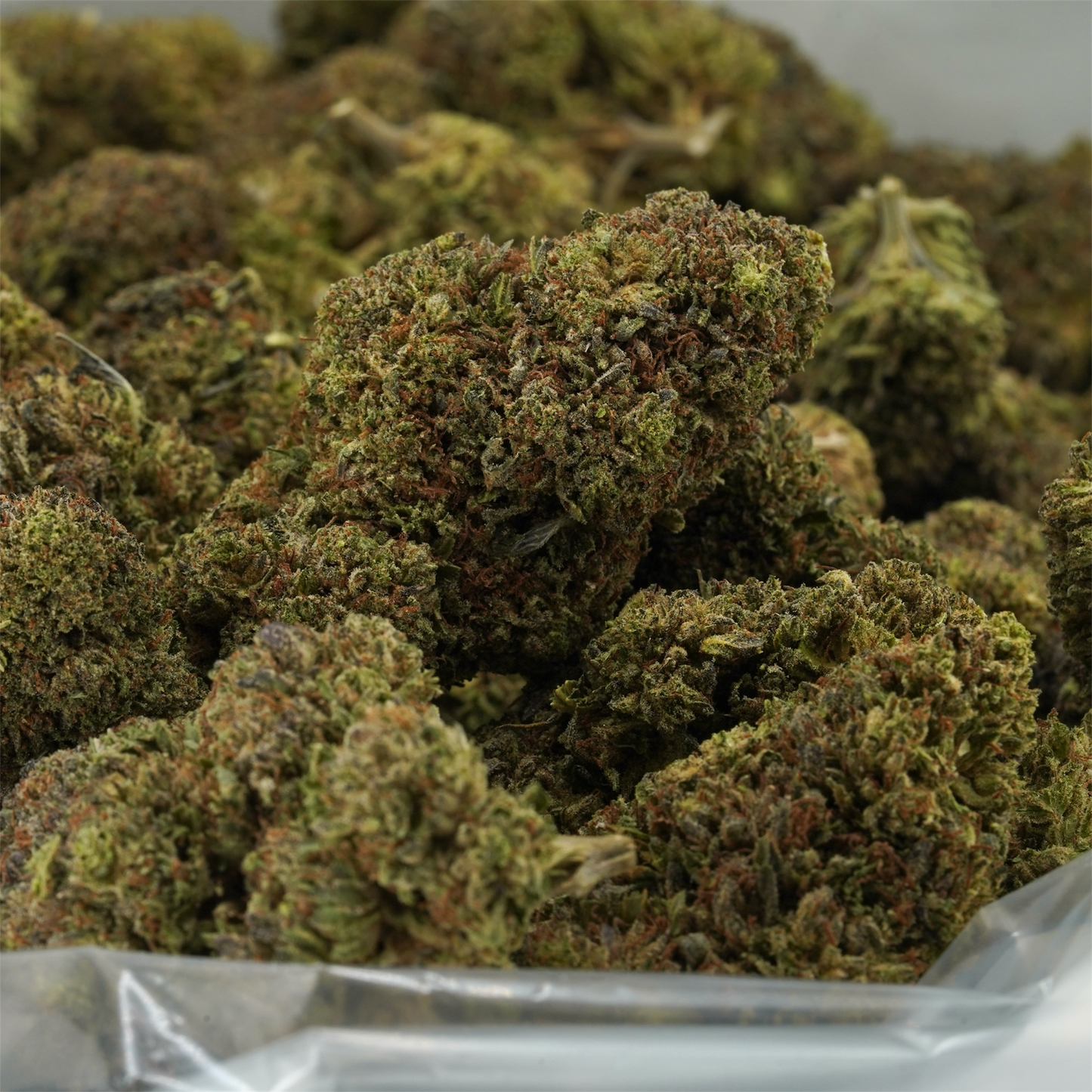 Bubba Kush 66 - CBD Flower - 2024