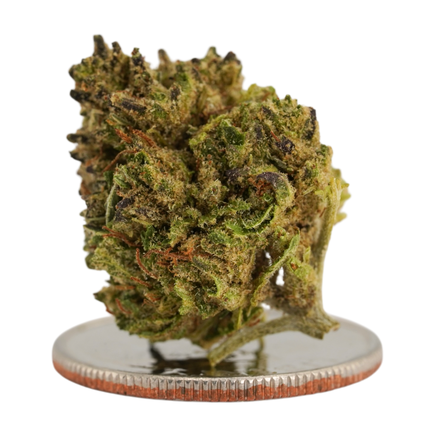 Bubba Kush 66 Smalls- CBD Flower - 2024