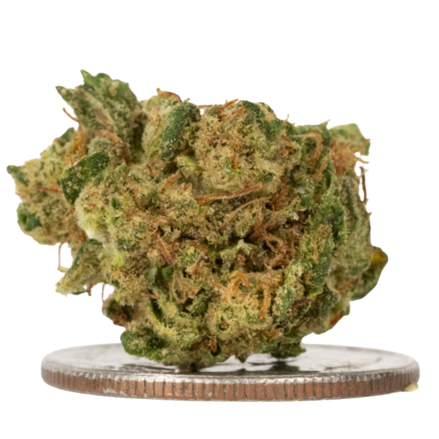 Sour Chem Smalls - CBD Flower - 2024