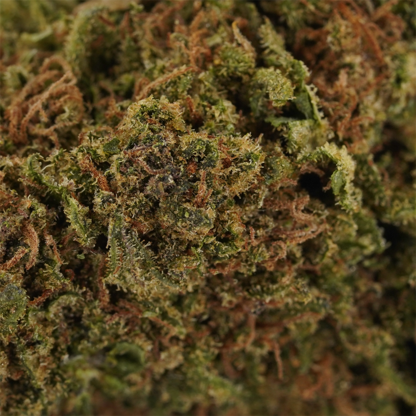 Strawberry Banana - CBD Flower - 2024