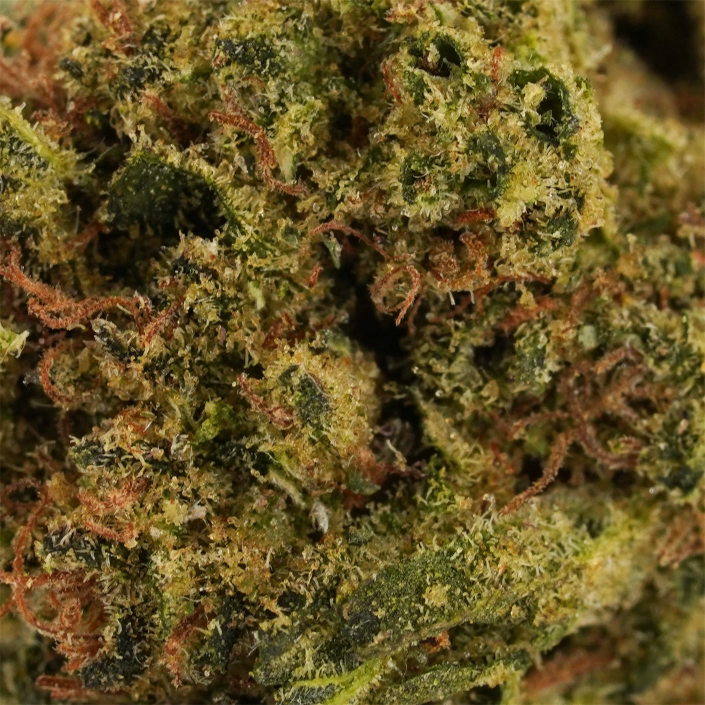 Strawberry Banana Smalls - CBD Flower - 2024