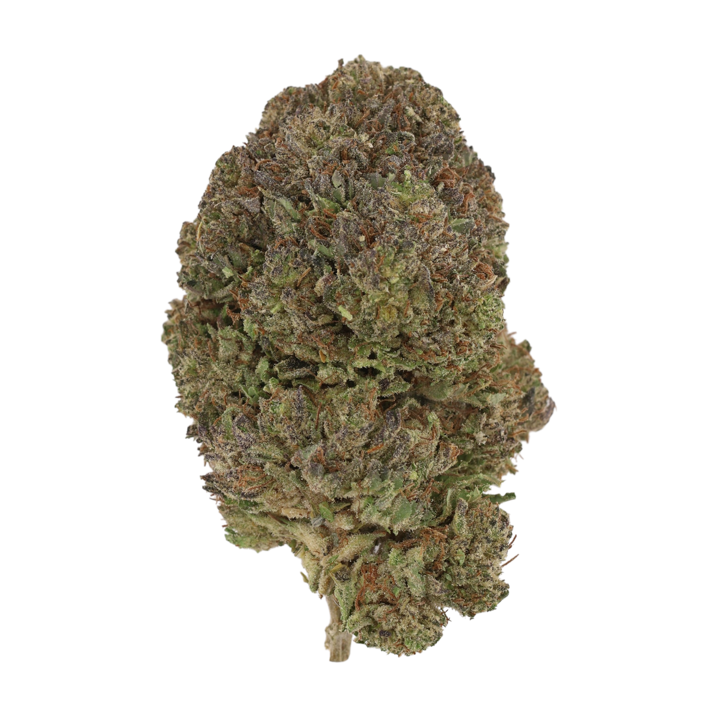 Bubba Kush 66 - CBD Flower - 2024