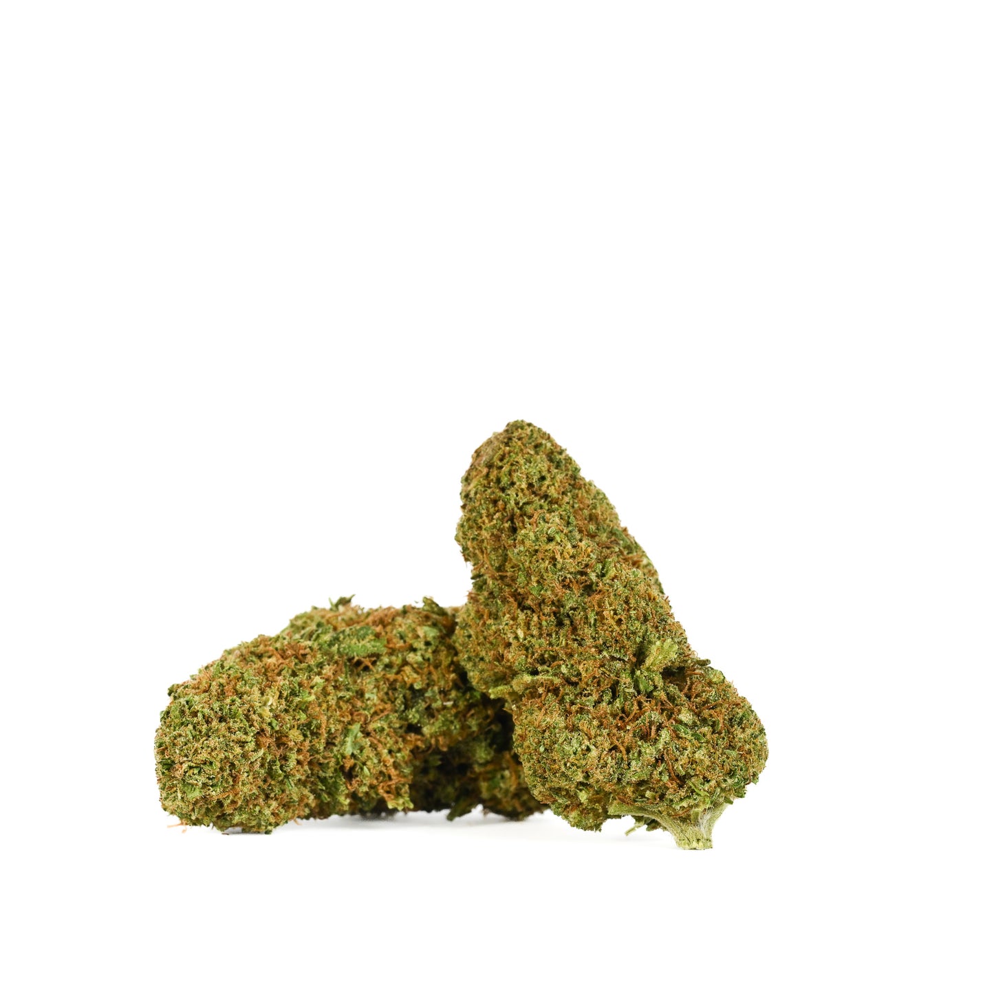 Two 2024 greenhouse-grown Triploid Sour Lifter buds placed side by side, each displaying a bright green hue with long orange pistils and a generous layer of sparkling trichomes.