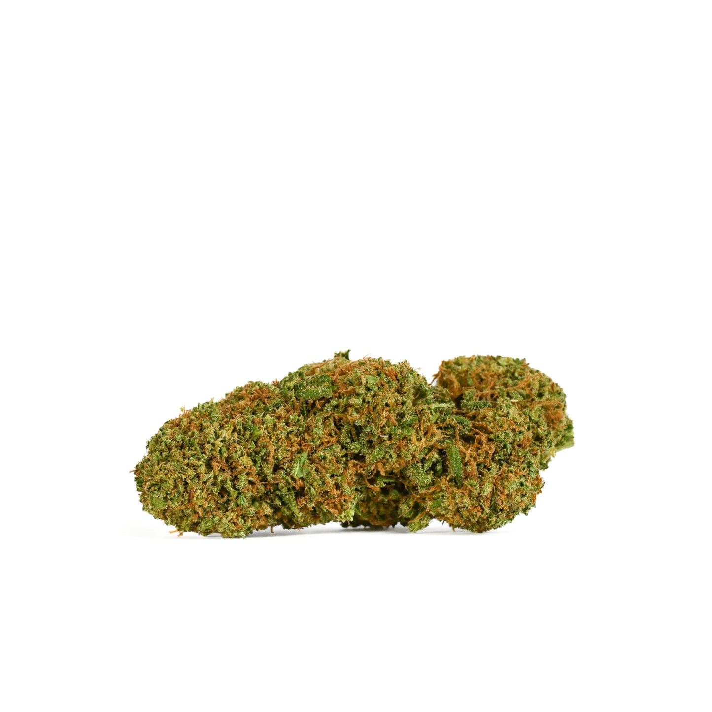 Side view of a 2024 greenhouse-grown Triploid Sour Lifter nug on a white surface with a white background, showcasing its dense structure, bright green color, long orange pistils, and a thick layer of sparkling trichomes.