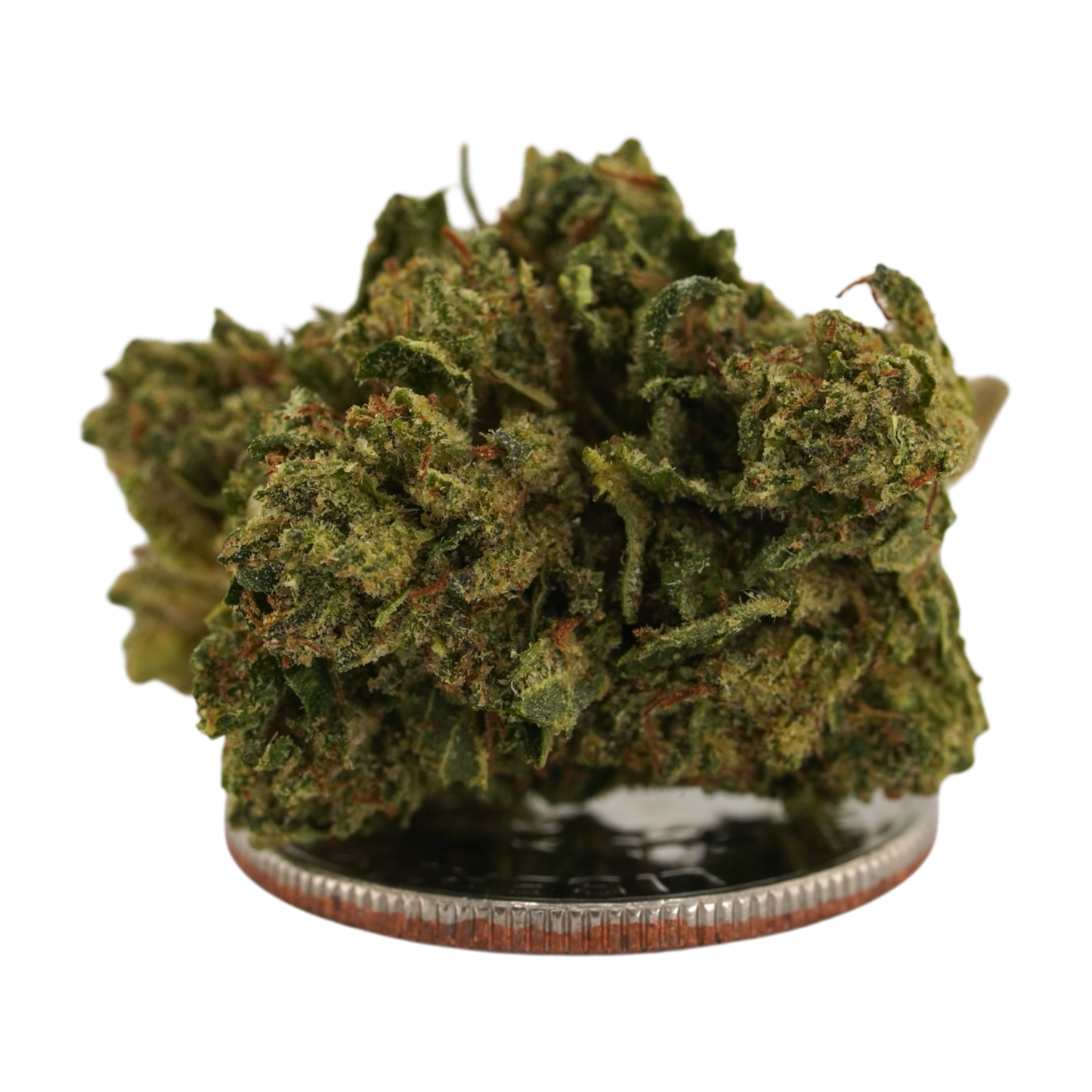 Bubba Kush 77 Smalls - CBD Flower - 2024