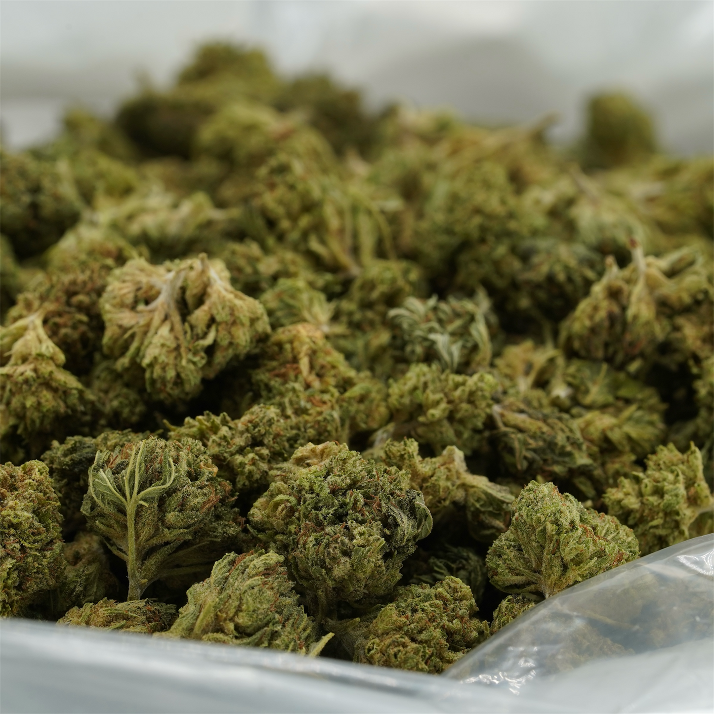 Bubba Kush 77 Smalls - CBD Flower - 2024