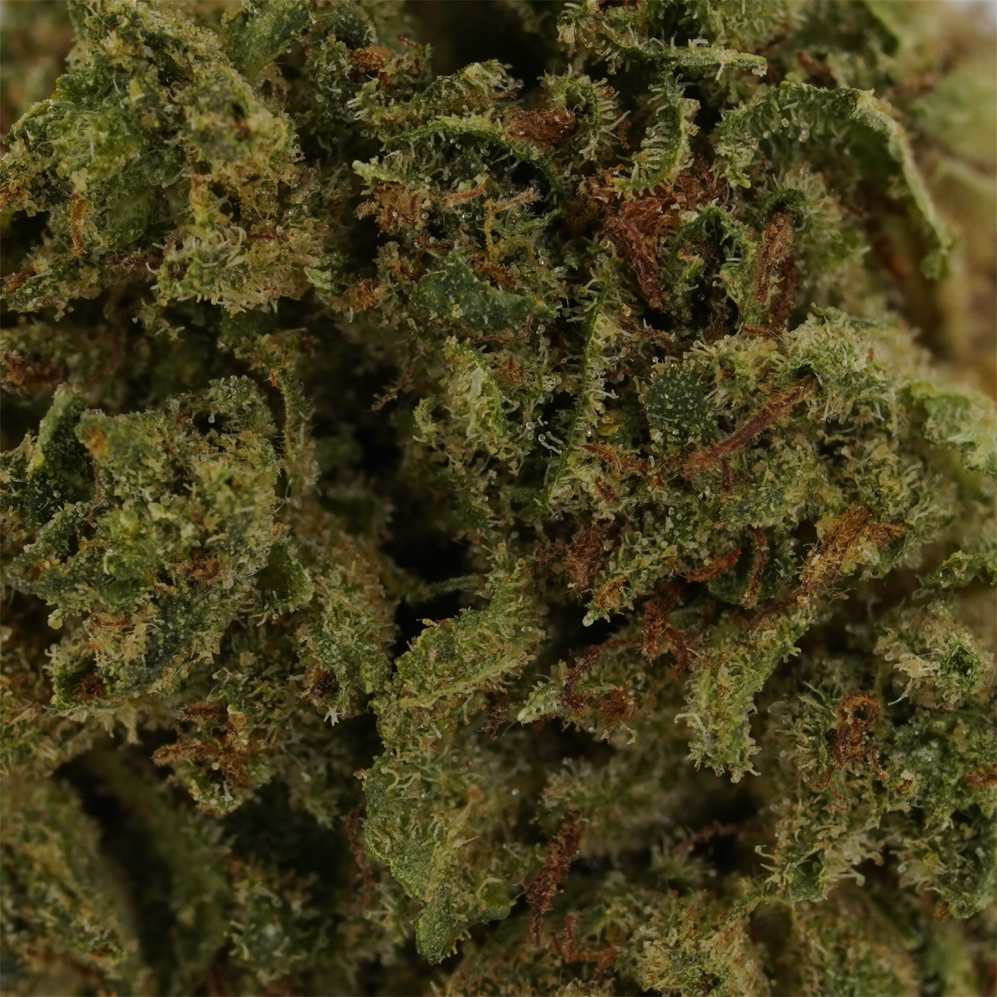 Bubba Kush 77 Smalls - CBD Flower - 2024