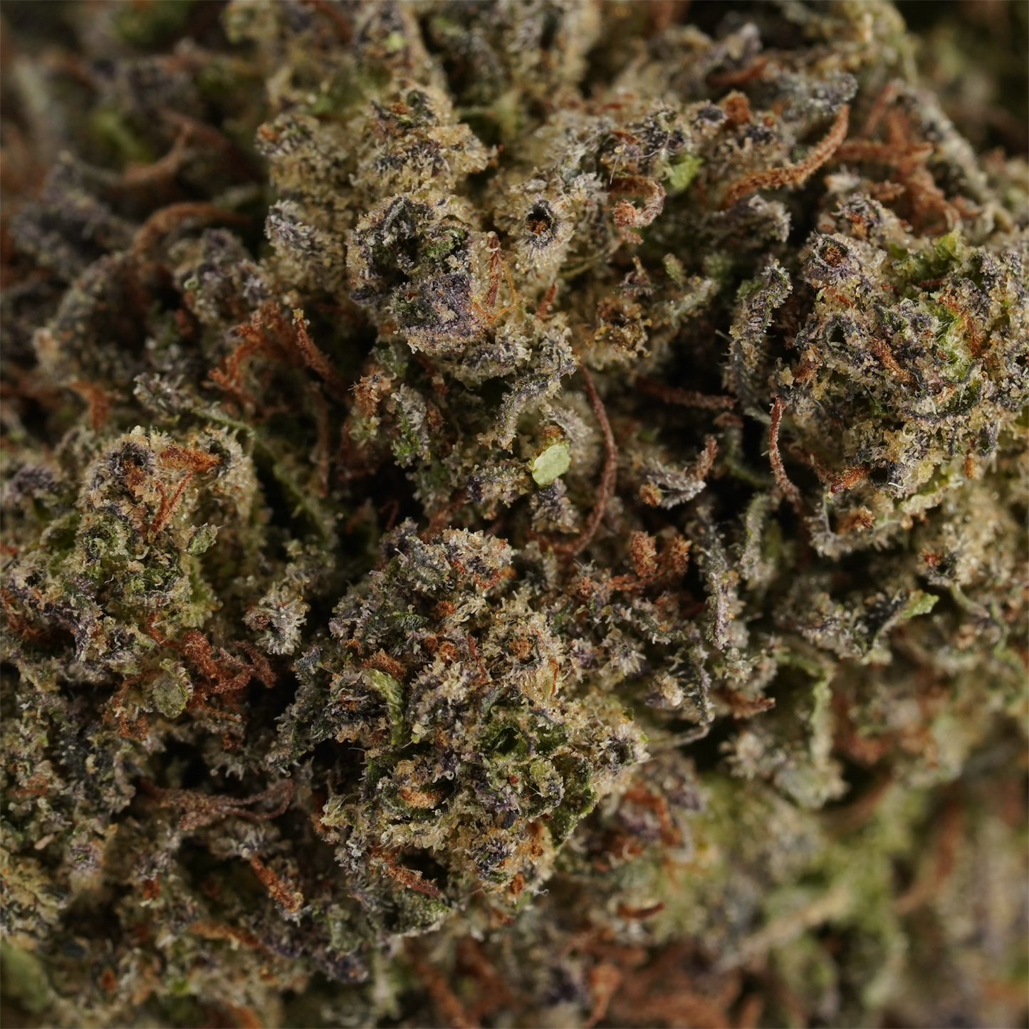 Bubba Kush 66 - CBD Flower - 2024