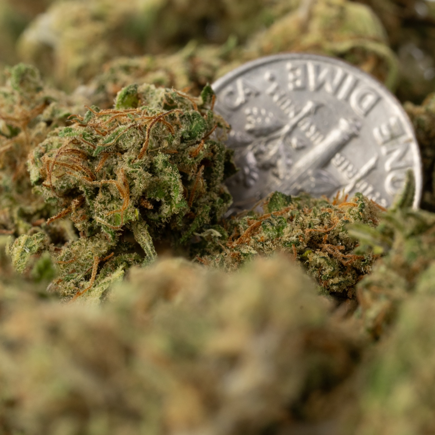 Sour Chem Smalls - CBD Flower - 2024