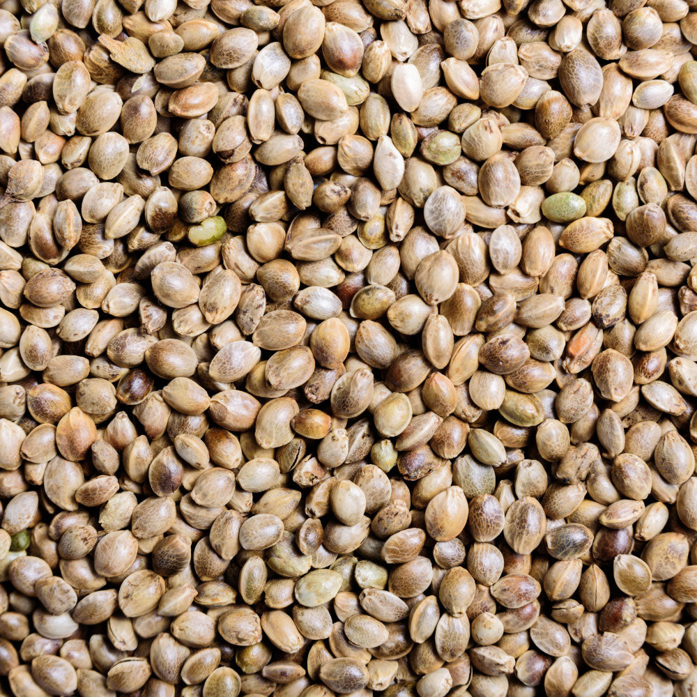 What Are Hemp Seeds Used For?