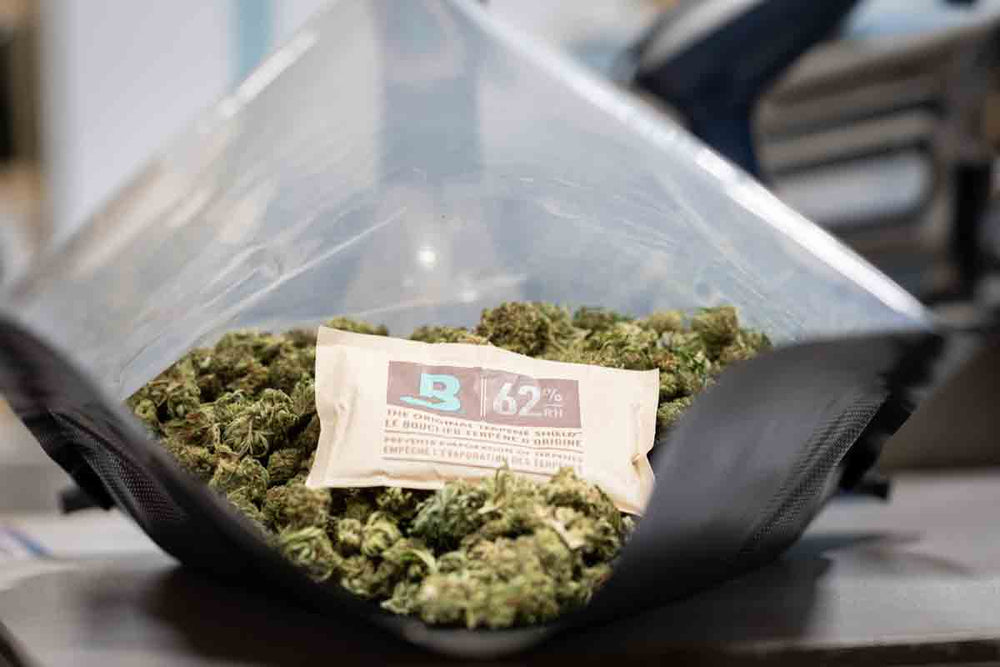 Maximize Your CBD Flower Shelf Life With Boveda Humidity Packs