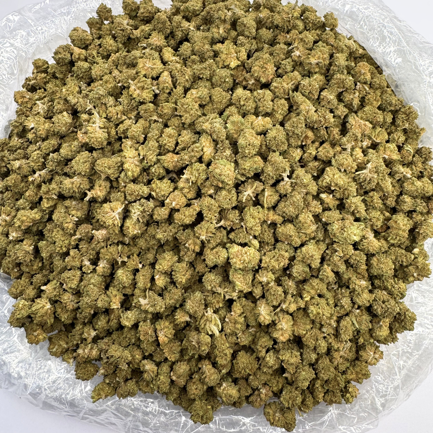 
                  
                    Pixie Sour Lifter Reggies - CBD Flower
                  
                