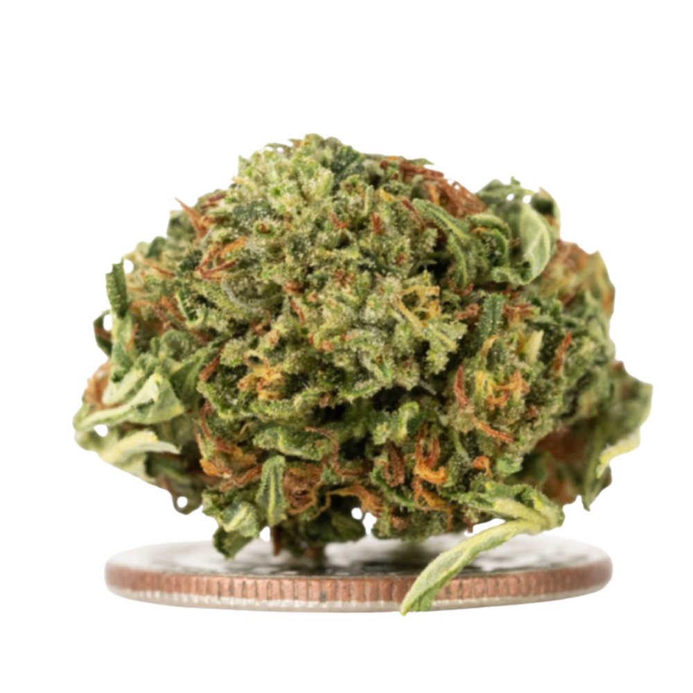 Caramel Kush Smalls - CBD Flower - 2024