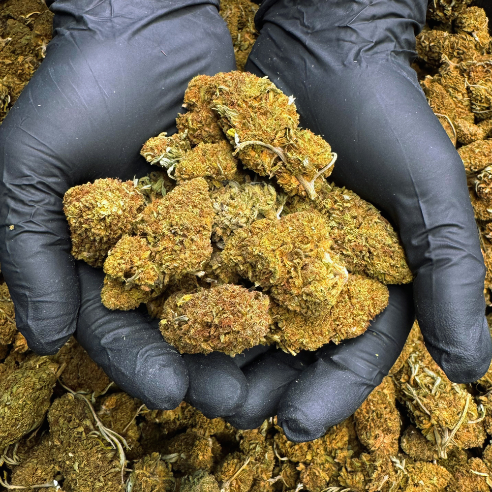 Trailblazer Lifter Reggies - CBD Flower