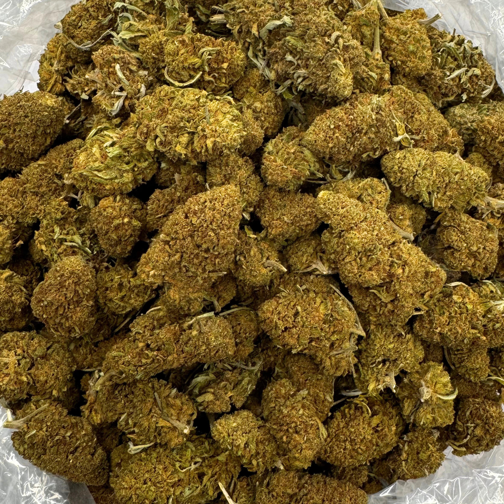 
                  
                    Trailblazer Lifter Reggies - CBD Flower
                  
                