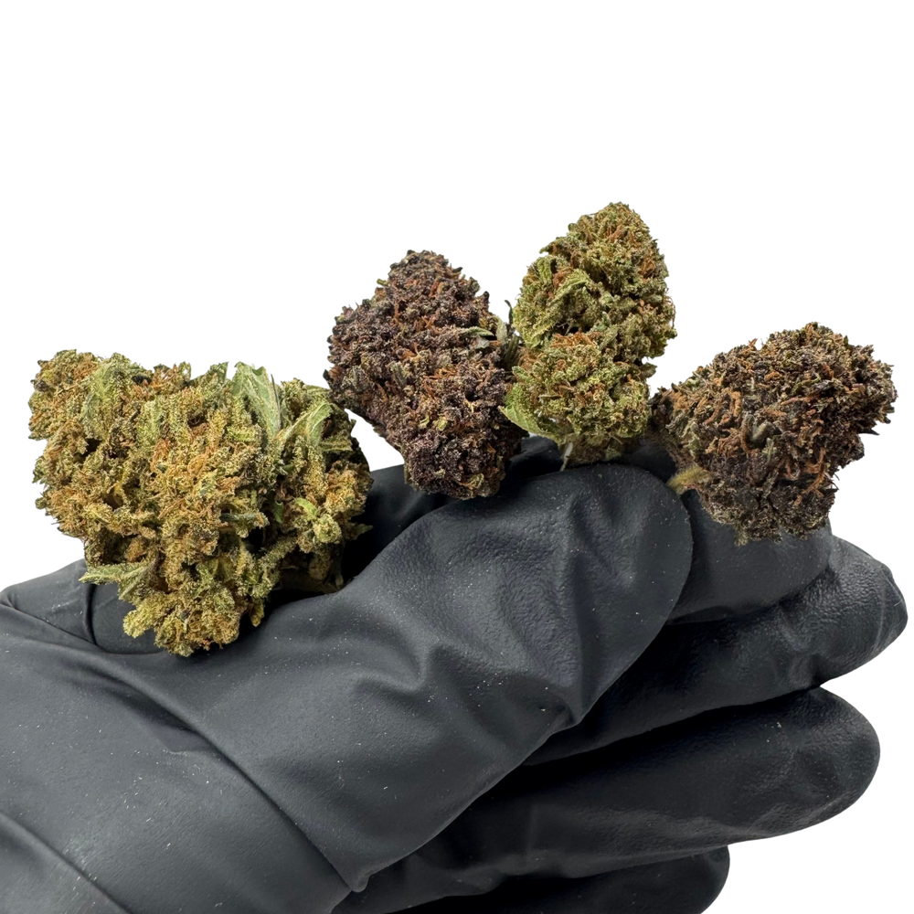 Legendary Kush - CBD Smalls - From 1 to 5 Lb Lots - 2023