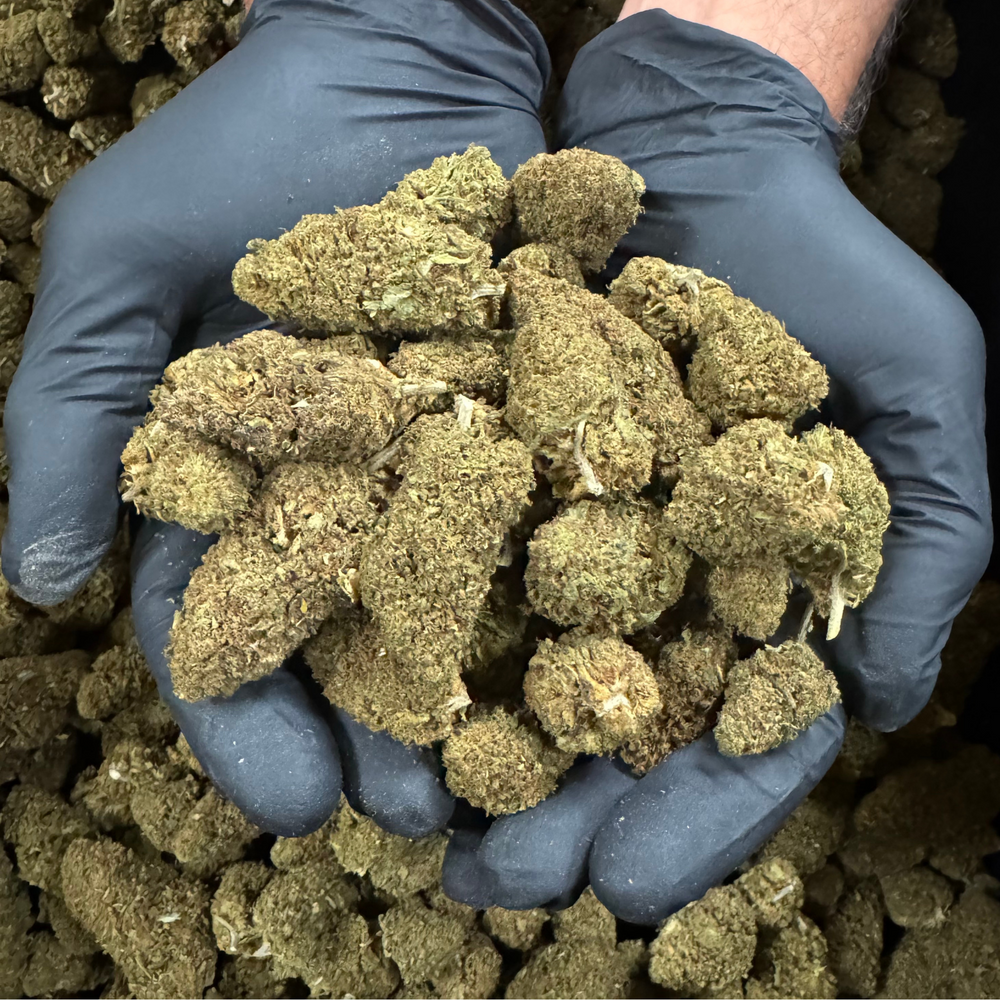 Lifter - CBD Flower 2 Pound  Lot - 2023