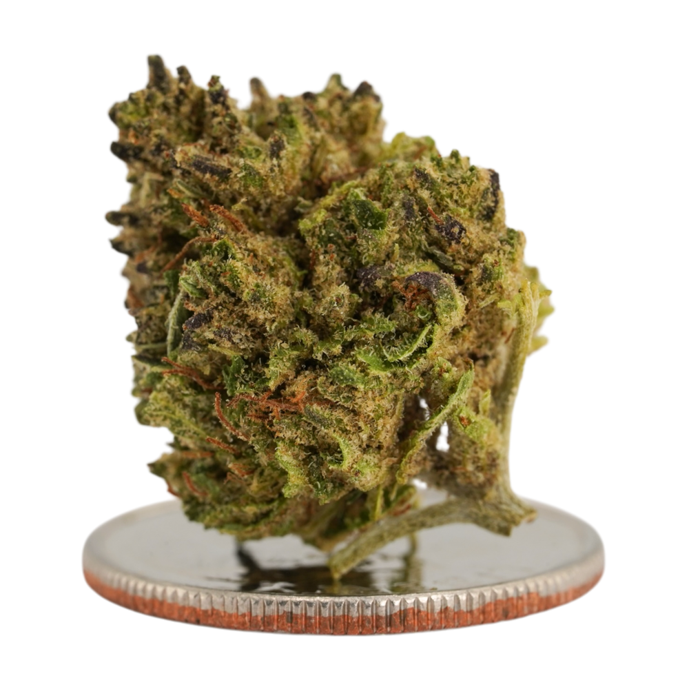 Bubba Kush 66 Smalls- CBD Flower - 2024
