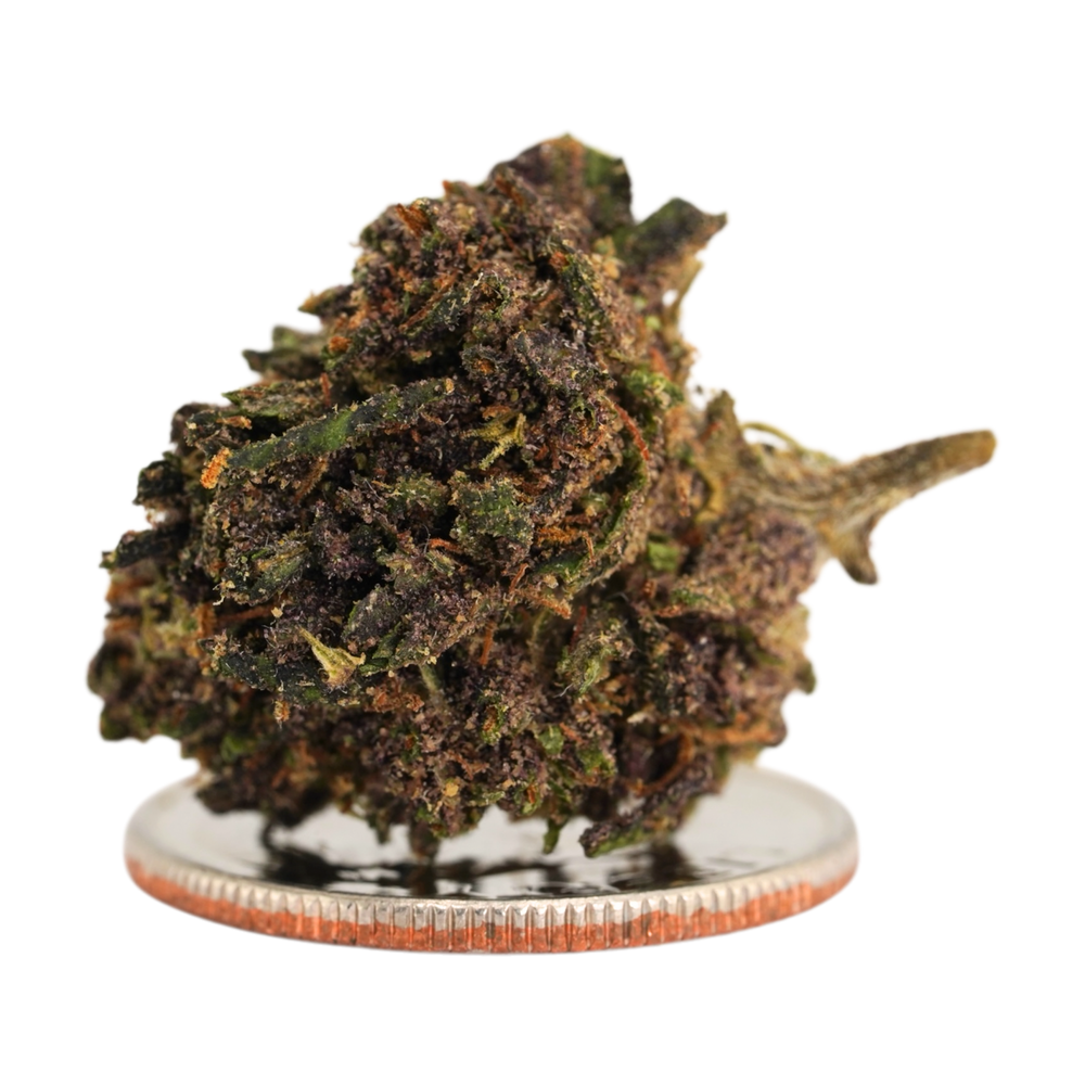 Glazed Lemon Cookies Smalls- CBD Flower - 2024