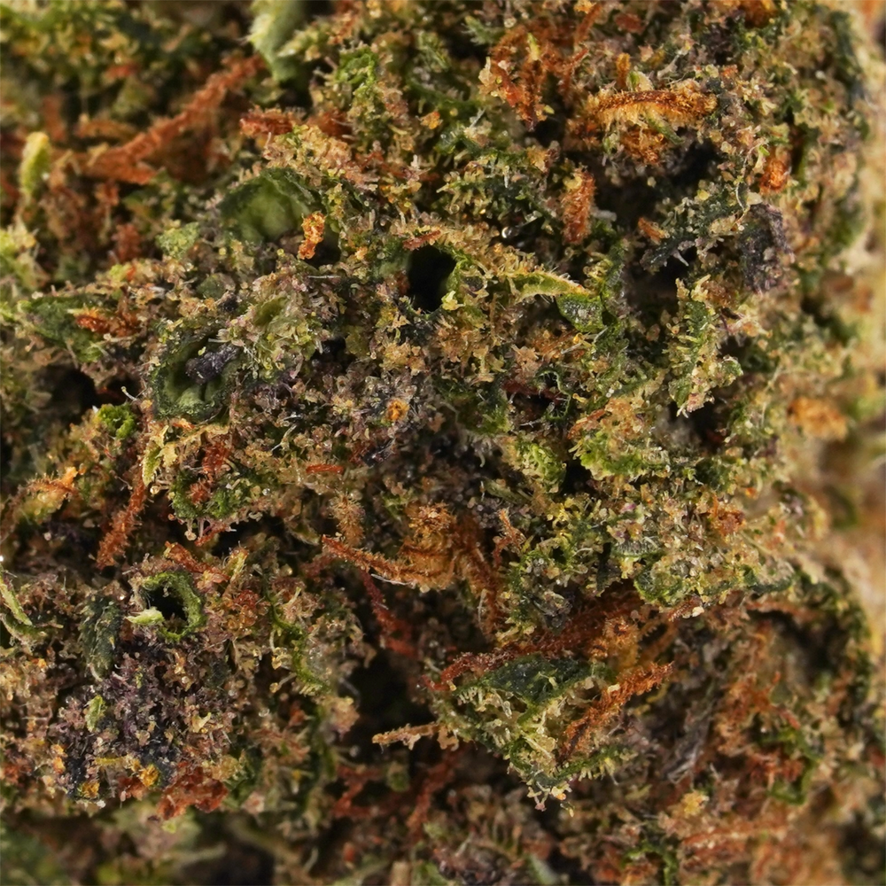 
                  
                    Glazed Lemon Cookies Smalls- CBD Flower - 2024
                  
                