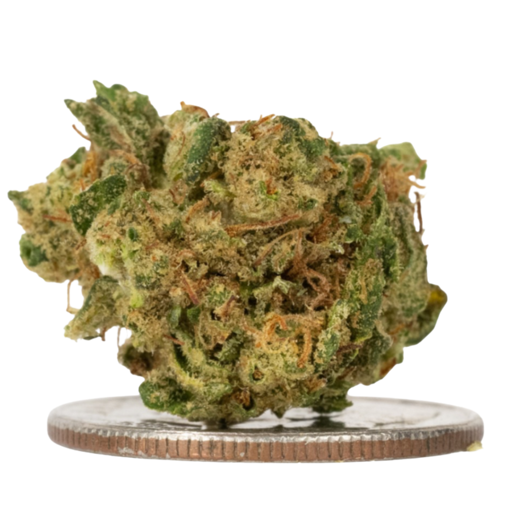 Sour Chem Smalls - CBD Flower - 2024