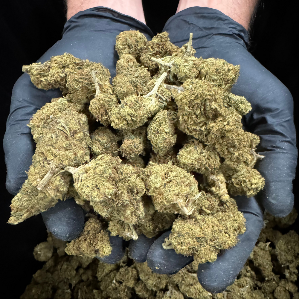 Sour Elektra - CBD Flower 2.5 Lb Lot- 2023