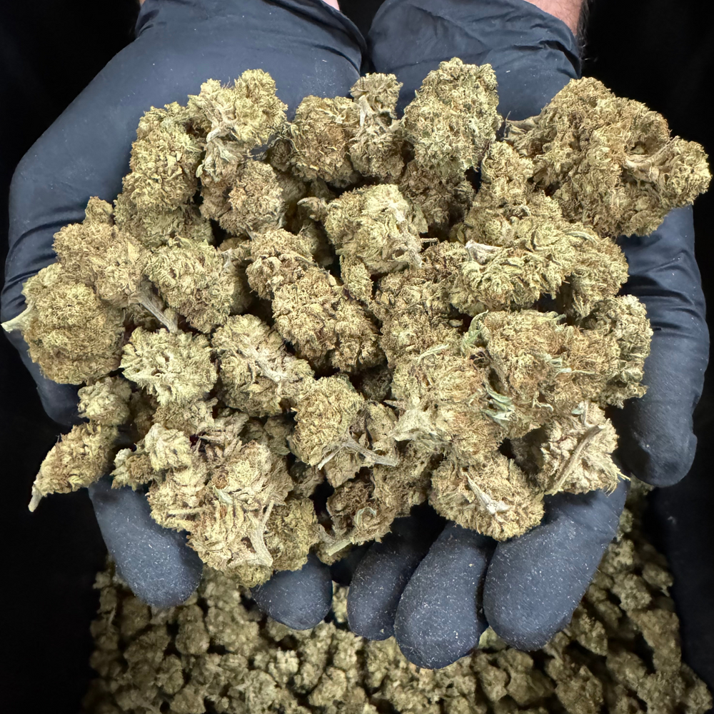 CBG - CBG Flower 3.25 Lb Lot- 2023
