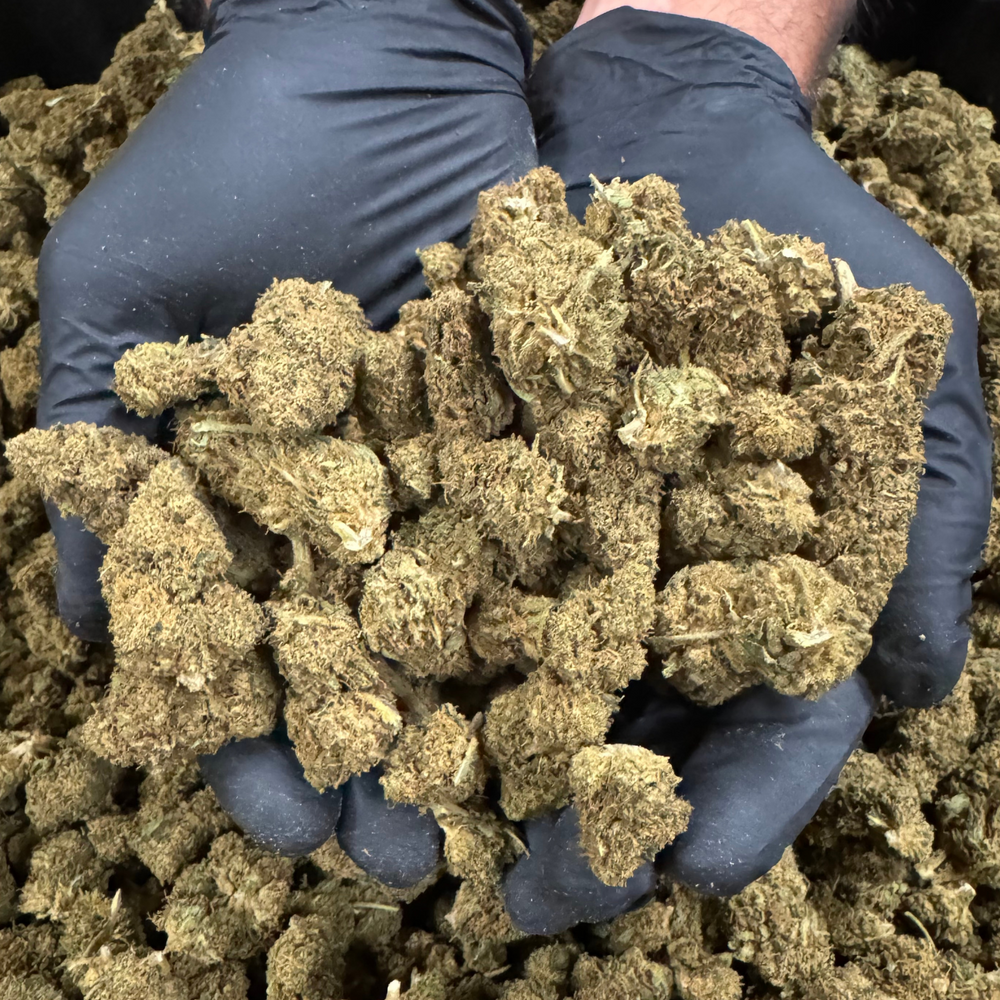 Sour Lifter - 2 Lb Lot CBD Flower - 2023