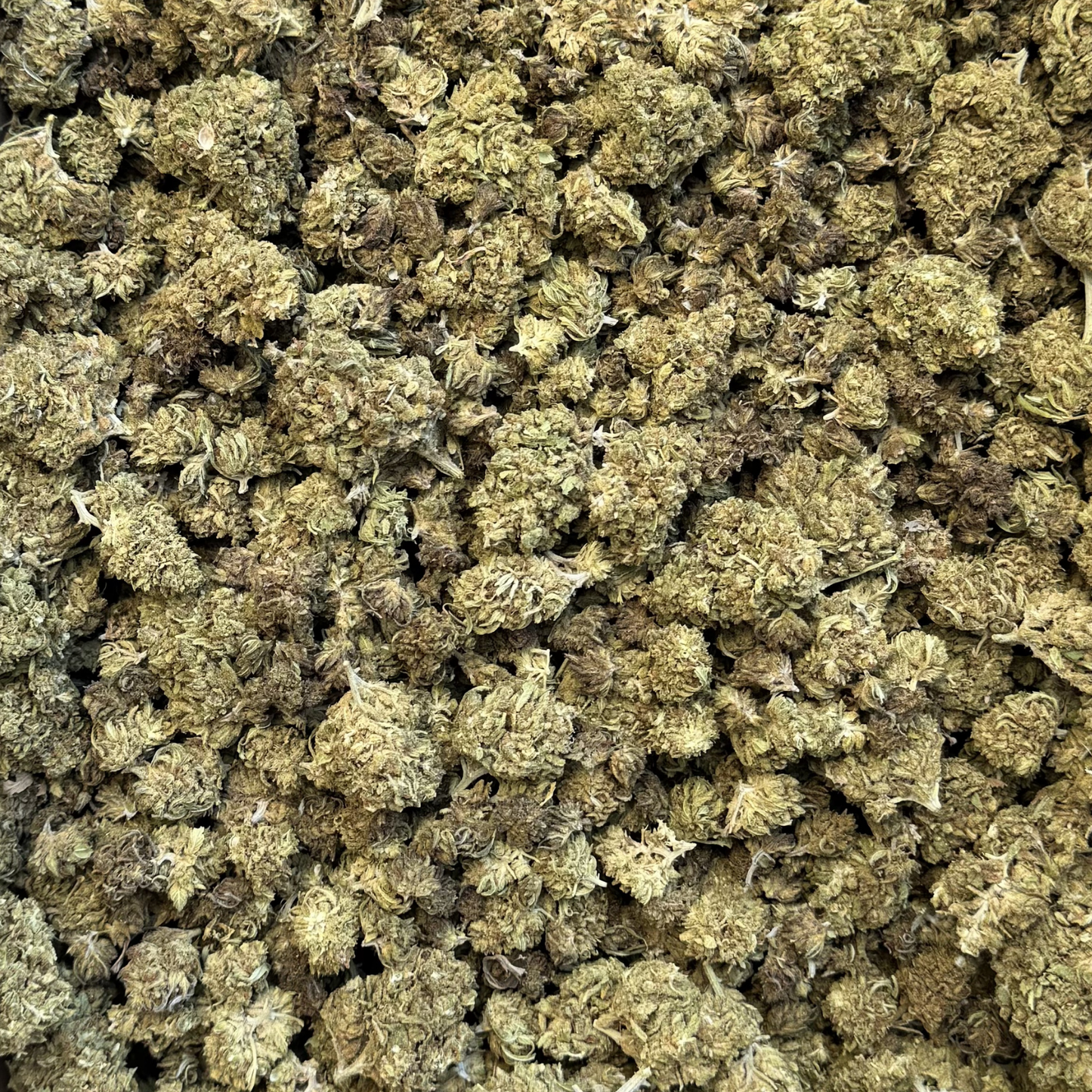 
                  
                    Wildwood Blend Reggies - CBD Flower
                  
                