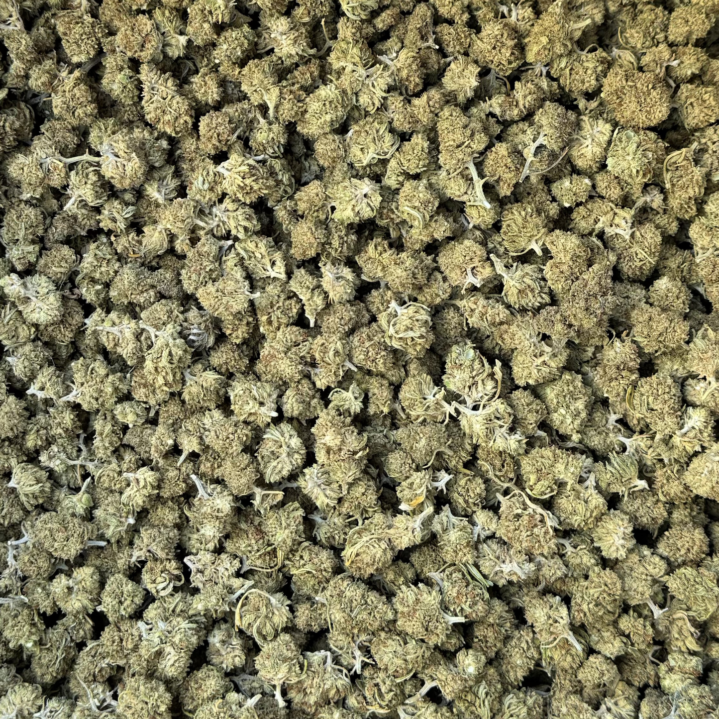 
                  
                    Wayfinder Reggies - CBD Flower
                  
                