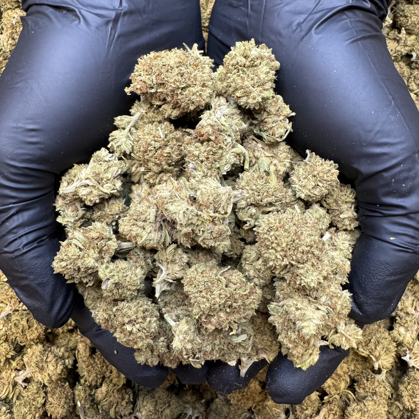
                  
                    Wayfinder Reggies - CBD Flower
                  
                