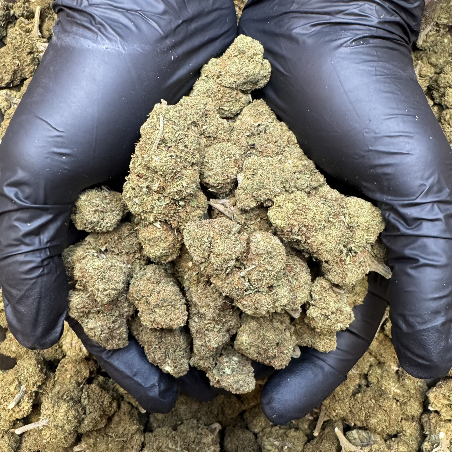 
                  
                    Cascade Blend Reggies - CBD Flower
                  
                