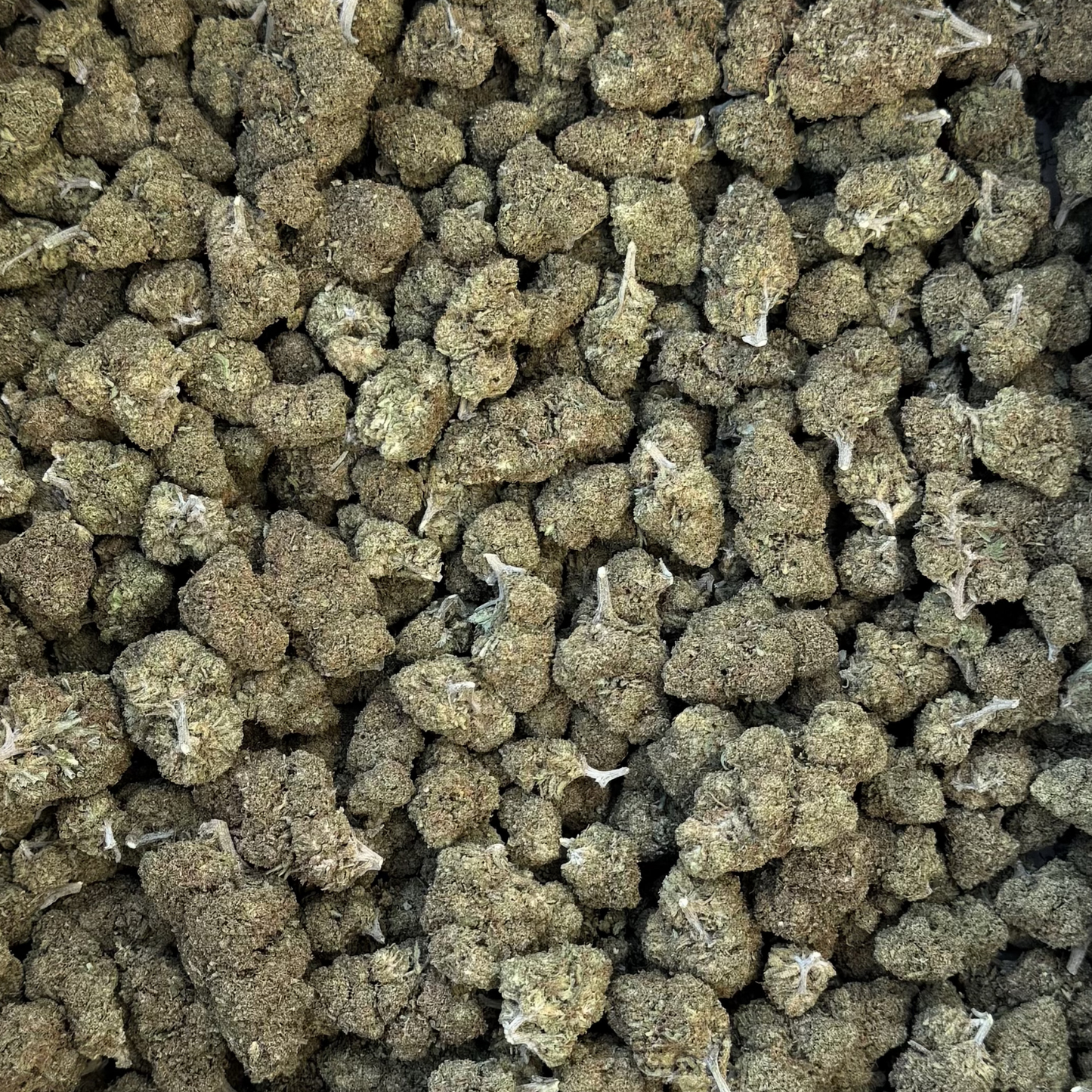 
                  
                    Cascade Blend Reggies - CBD Flower
                  
                