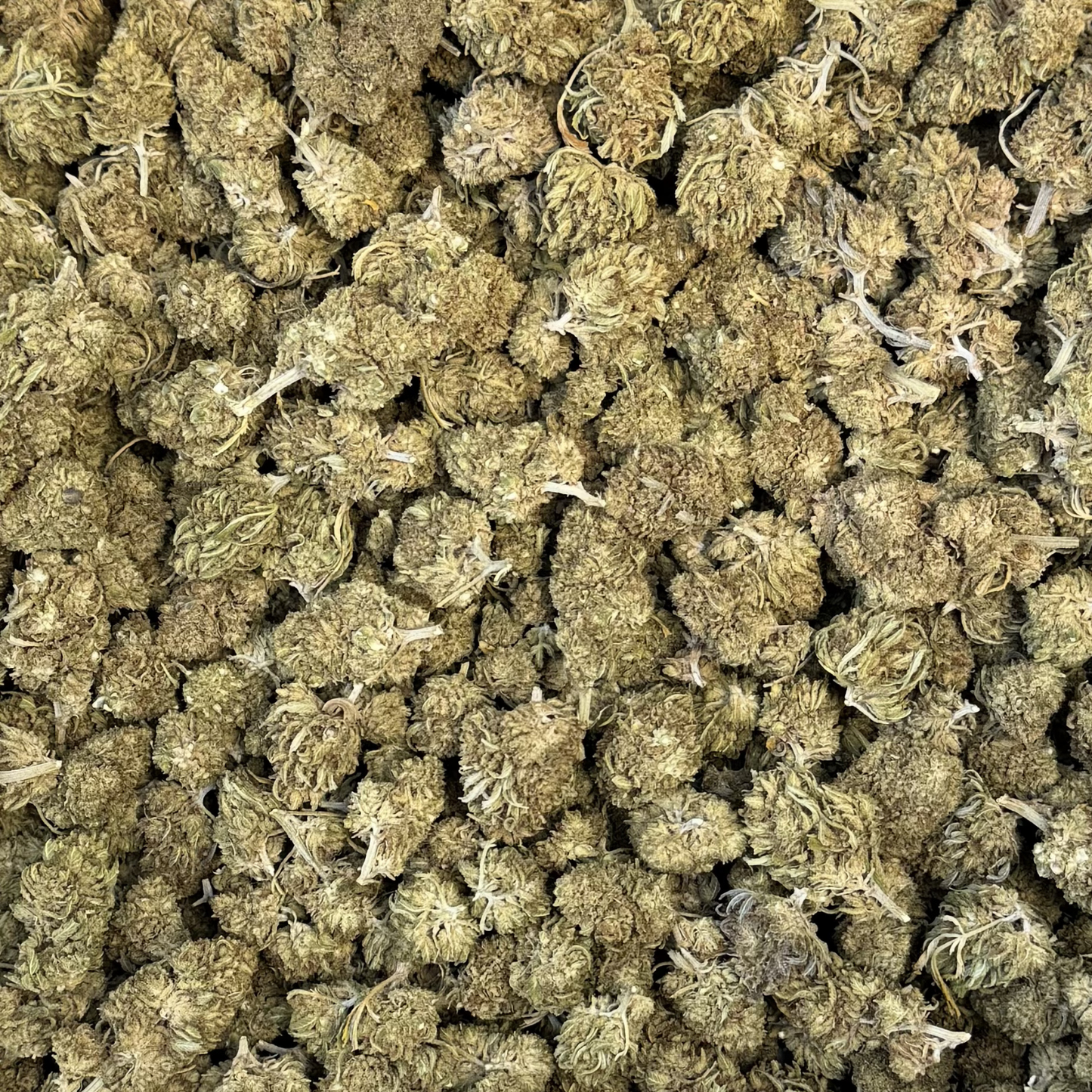
                  
                    Timberline Reggies - CBD Flower
                  
                