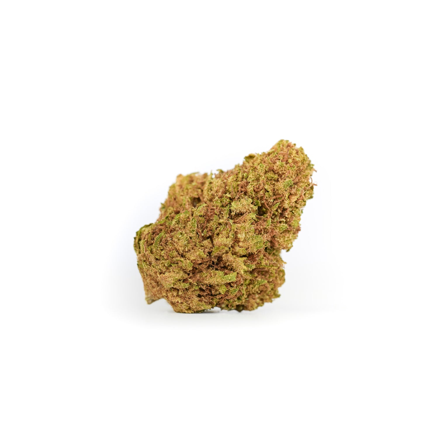 
                  
                    A single greenhouse-grown Sour Suver Haze A bud on a clean white surface.
                  
                