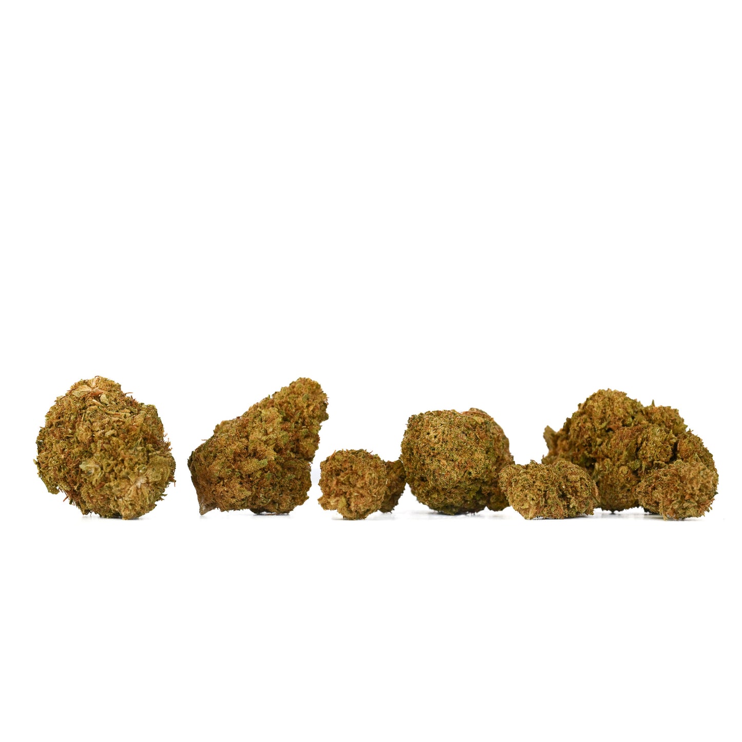 
                  
                    2021 greenhouse-grown Sour Suver Haze nugs ranging in size from A to C buds.
                  
                