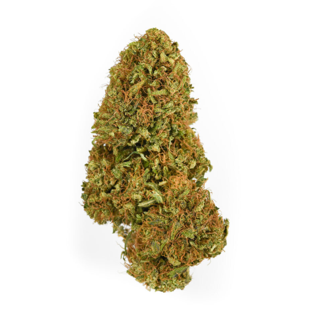 A Sour Brûlée CBD A bud, floating against a clean white background