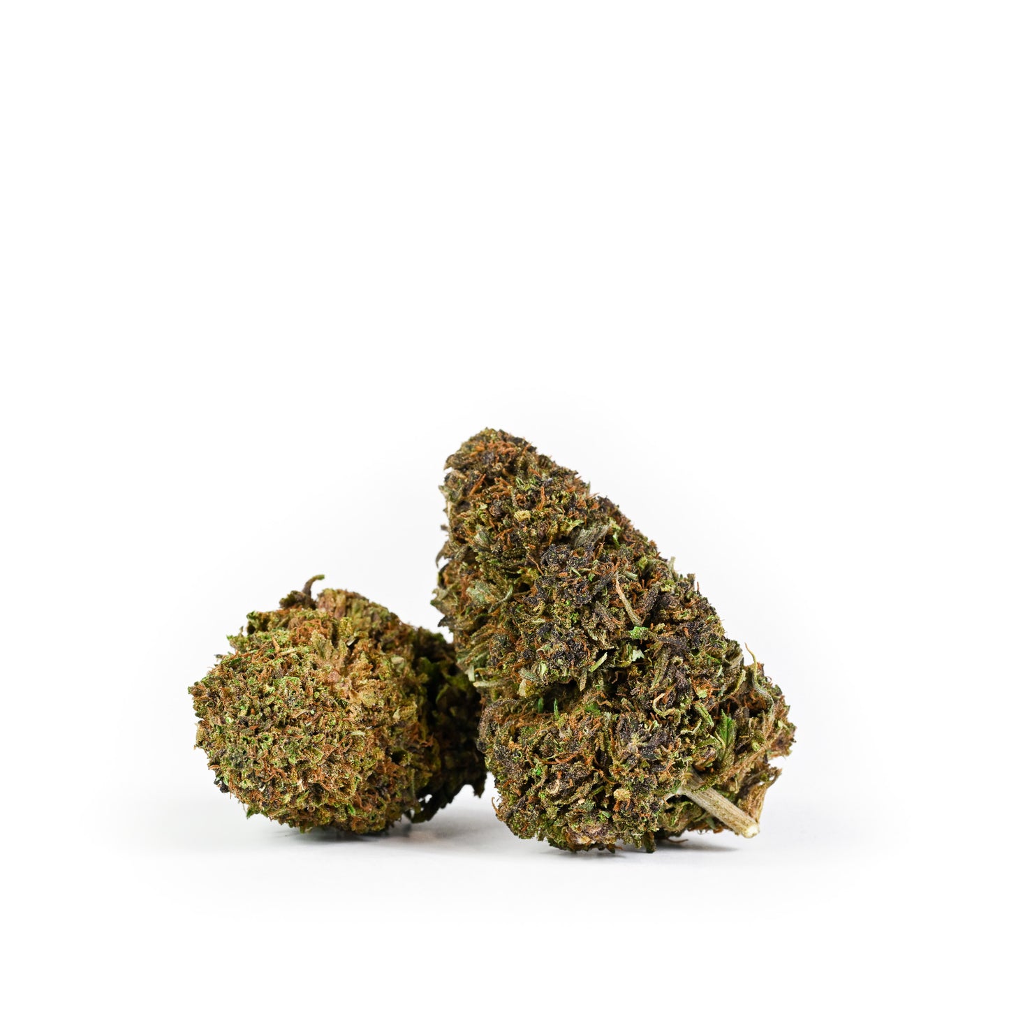 2 Legendary Kush nugs side by side against a clean white background.