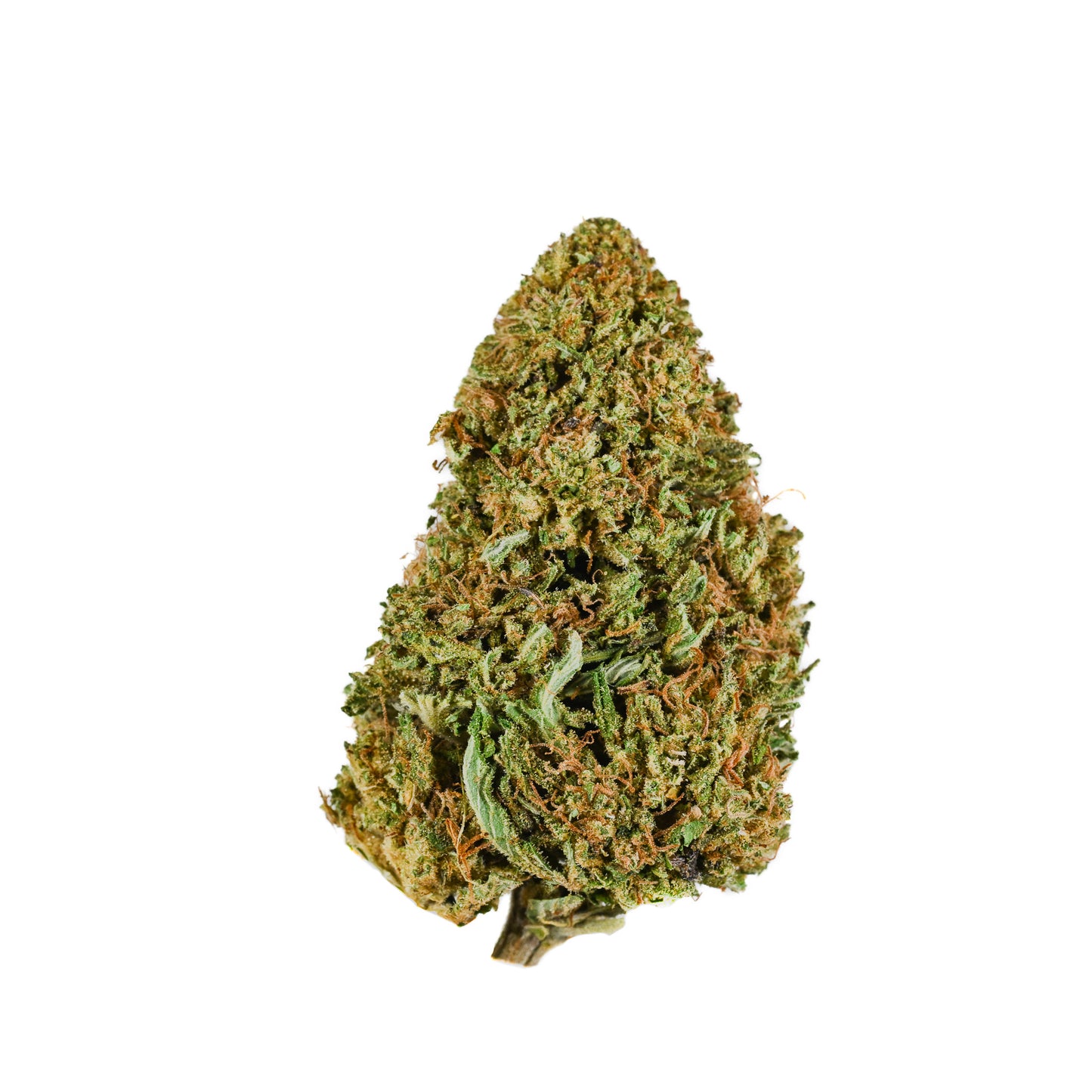 A single Legendary Kush nug that appears to be floating against a clean white background.