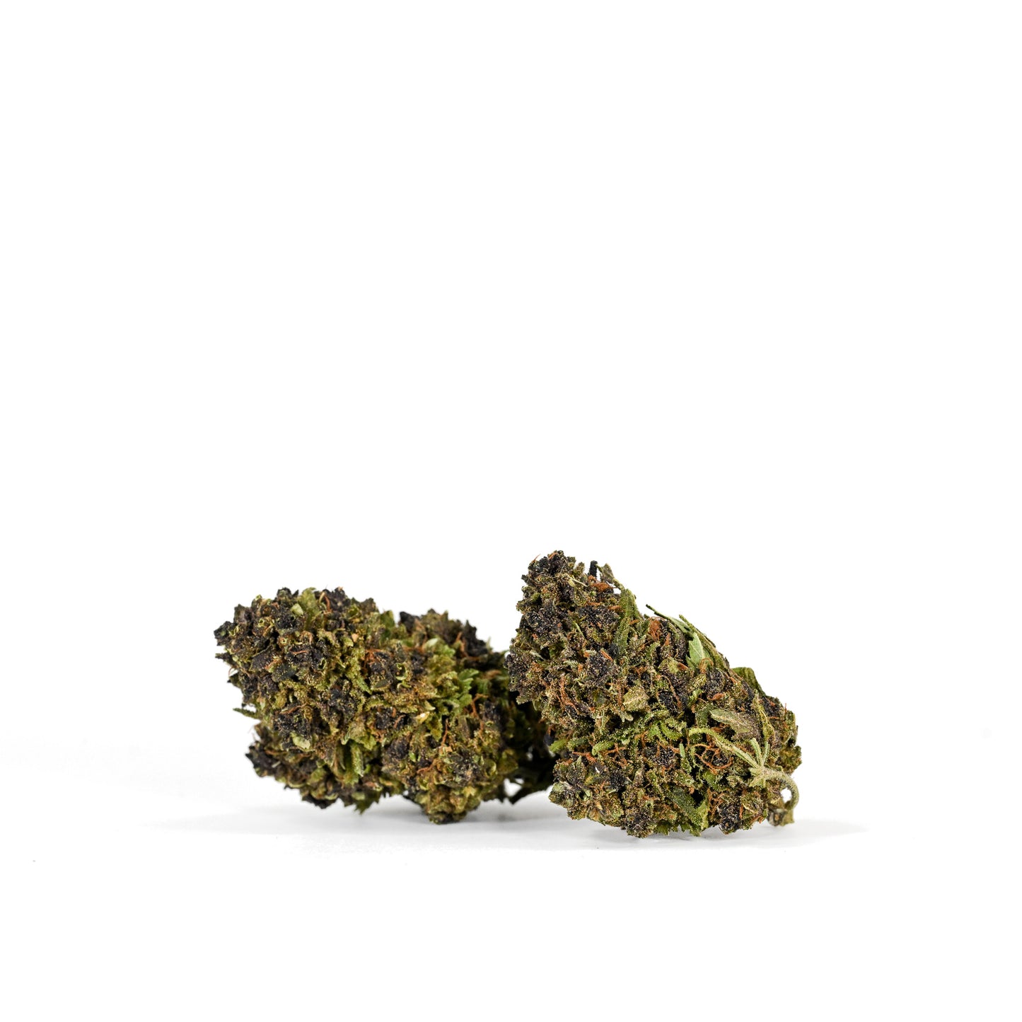 
                  
                    Two lightly trimmed Pink Pineapple CBD nugs resting on a clean white background. The nug are green with purple hues and orange pistils.
                  
                