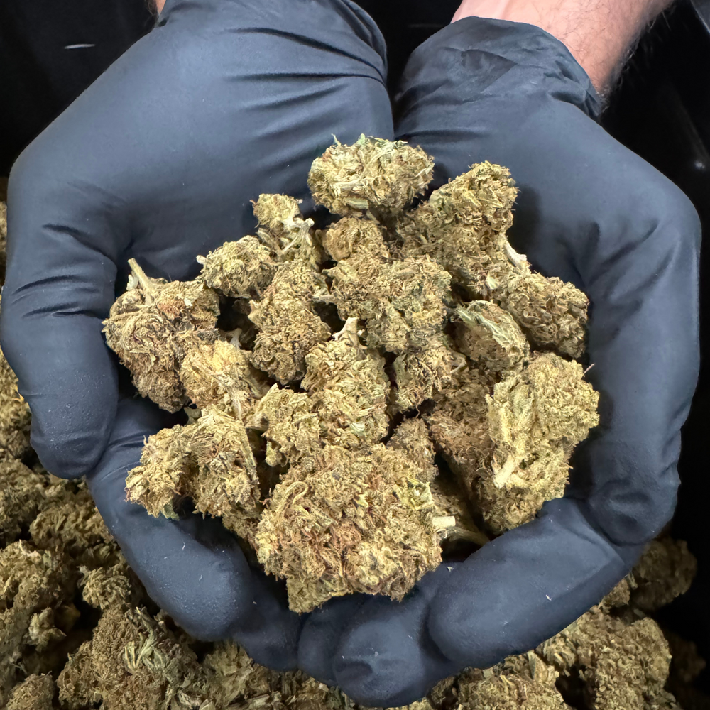 Sour Space Candy - 2 Lb Lot - CBD Flower 2023
