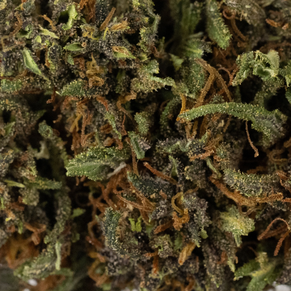 
                  
                    Purple Krack - CBD Flower - 2024
                  
                