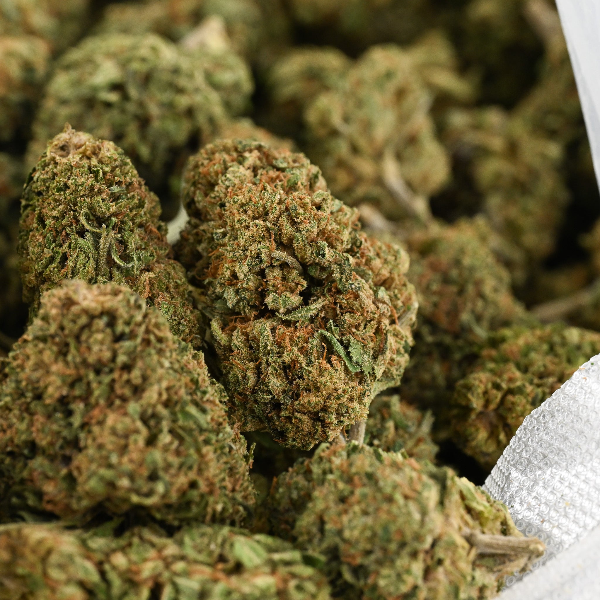Lemon Octane CBD Flower | JAXON