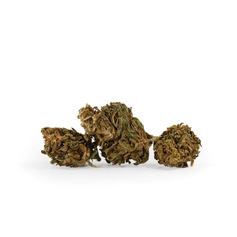 Reggies - VELOX - CBD Flower