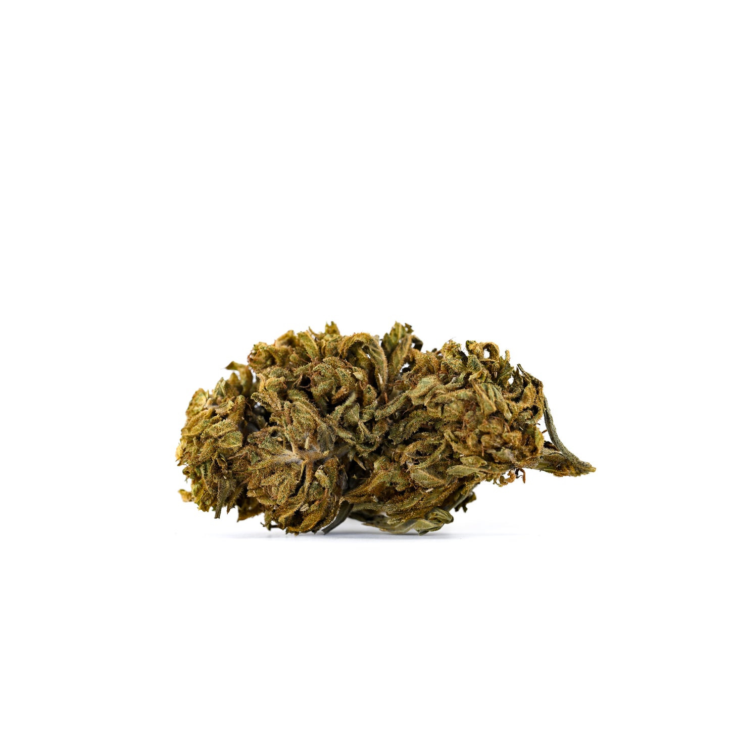 
                  
                    Reggies - VELOX - CBD Flower
                  
                