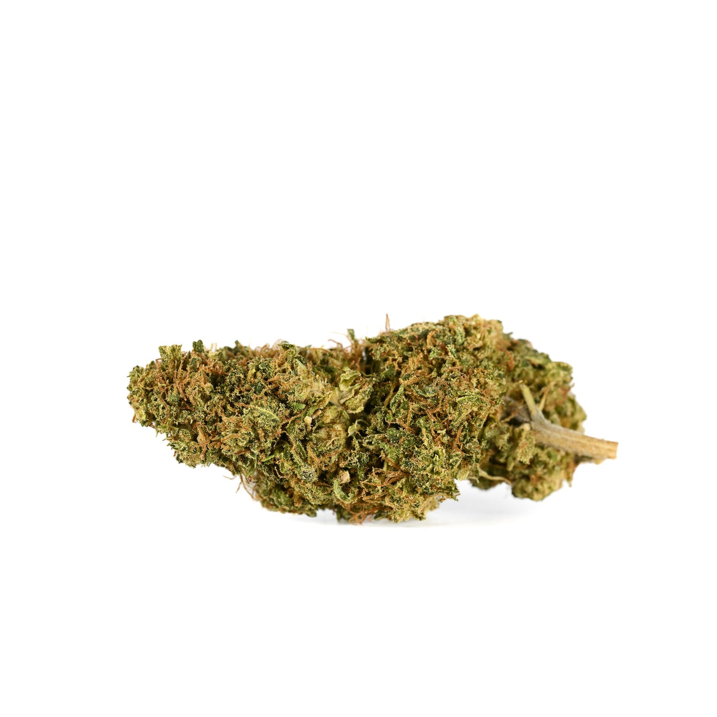 
                  
                    A profile view of a 2022 Sour Brûlée nug on a clean white background.
                  
                